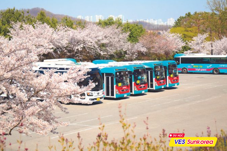 Đại học Sunmoon Hàn Quốc - Zila (6)